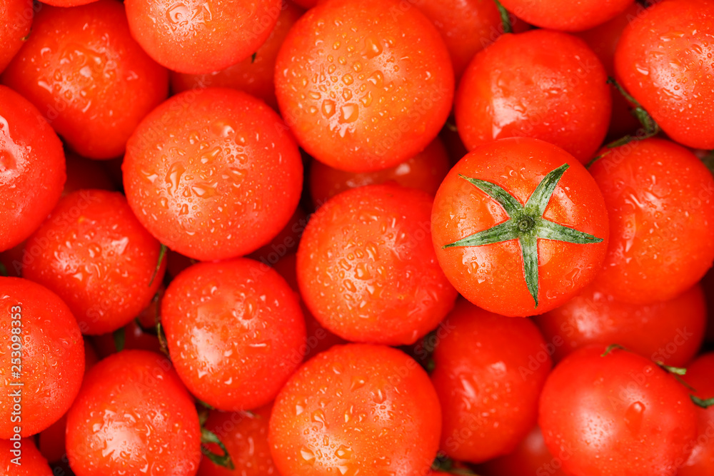 Fresh cherry tomatoes with green leaves. Background red tomatoes.