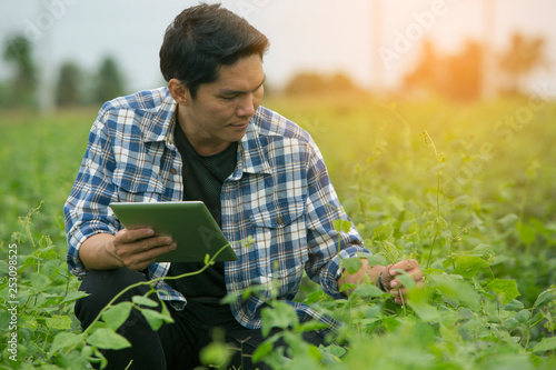 Smart farmers are monitoring crop growth. photo