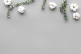 Flowers border with green eucalyptus and cotton flowers on grey background top view copy space. Blog mockup