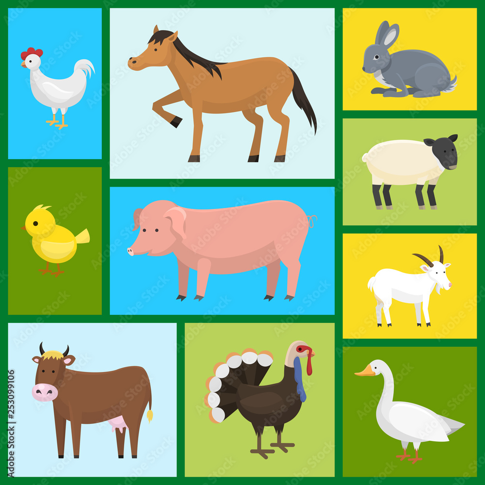 Fototapeta premium Set of farm domestic animals seamless pattern vector illustration. Collection of cute pet animal. Cartoon cow and horse, pig and goose, rabbit, hen, turkey, chick, goat, sheep.