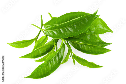 Green tea leaf isolated over white background