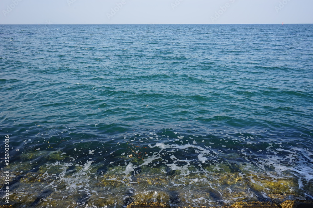 海釣り 海釣り