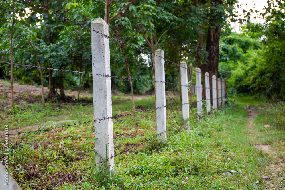 Barbed fence and concrete post in the garden. Barbed fence and concrete post in the garden.
