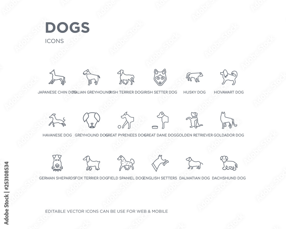 simple set of dogs vector line icons. contains such icons as dachshund dog, dalmatian dog, english setters dog, field spaniel fox terrier german shepards goldador golden retriever great dane and