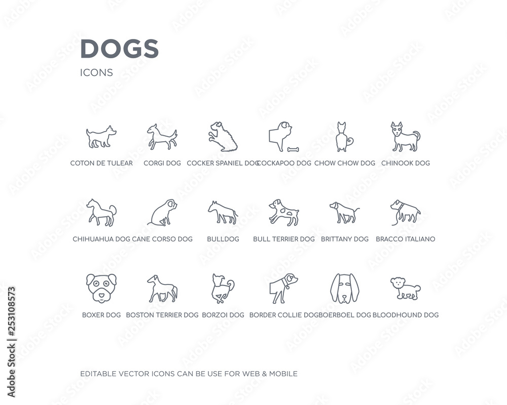 simple set of dogs vector line icons. contains such icons as bloodhound dog, boerboel dog, border collie dog, borzoi boston terrier boxer bracco italiano brittany bull terrier and more. editable simple set of dogs vector line icons. contains such icons as bloodhound dog, boerboel dog, border collie dog, borzoi boston terrier boxer bracco italiano brittany bull terrier and more. editable