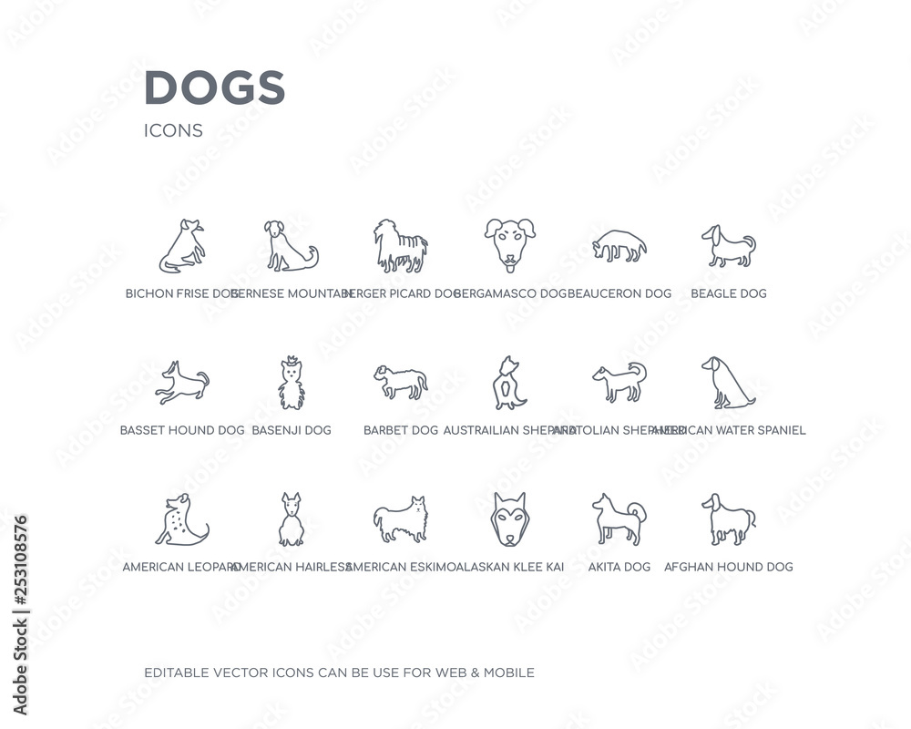 simple set of dogs vector line icons. contains such icons as afghan hound dog, akita dog, alaskan klee kai dog, american eskimo american hairless terrier american leopard hound water spaniel