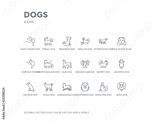 simple set of dogs vector line icons. contains such icons as jindo dog, keeshond dog, komondor dog, labradoodle vizsla maltese maltipoo mastiff mexican hairless and more. editable pixel perfect.