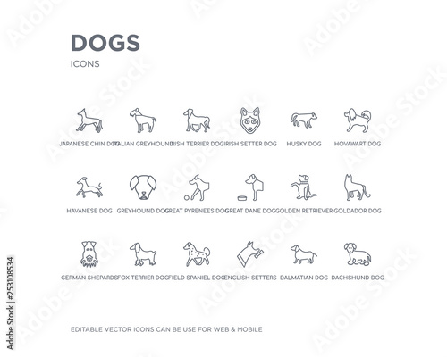 simple set of dogs vector line icons. contains such icons as dachshund dog, dalmatian dog, english setters dog, field spaniel fox terrier german shepards goldador golden retriever great dane and