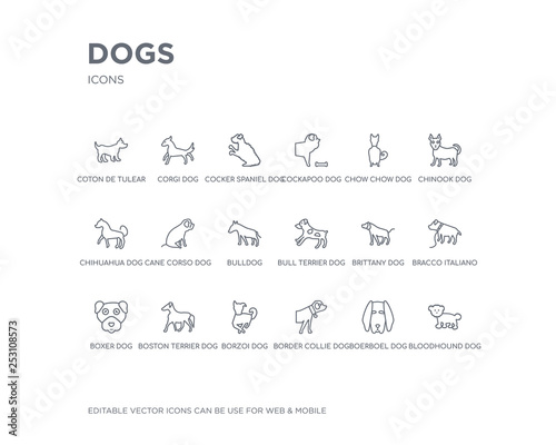 simple set of dogs vector line icons. contains such icons as bloodhound dog, boerboel dog, border collie dog, borzoi boston terrier boxer bracco italiano brittany bull terrier and more. editable