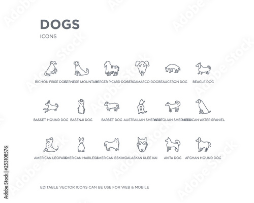 simple set of dogs vector line icons. contains such icons as afghan hound dog, akita dog, alaskan klee kai dog, american eskimo american hairless terrier american leopard hound water spaniel