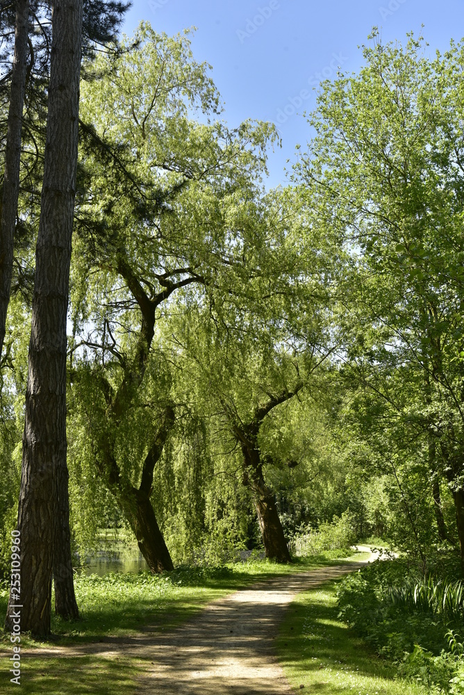 Chemin semi-ombragé sous les feuillages des vieux arbres au domaine provincial de Rivierenhof à Anvers