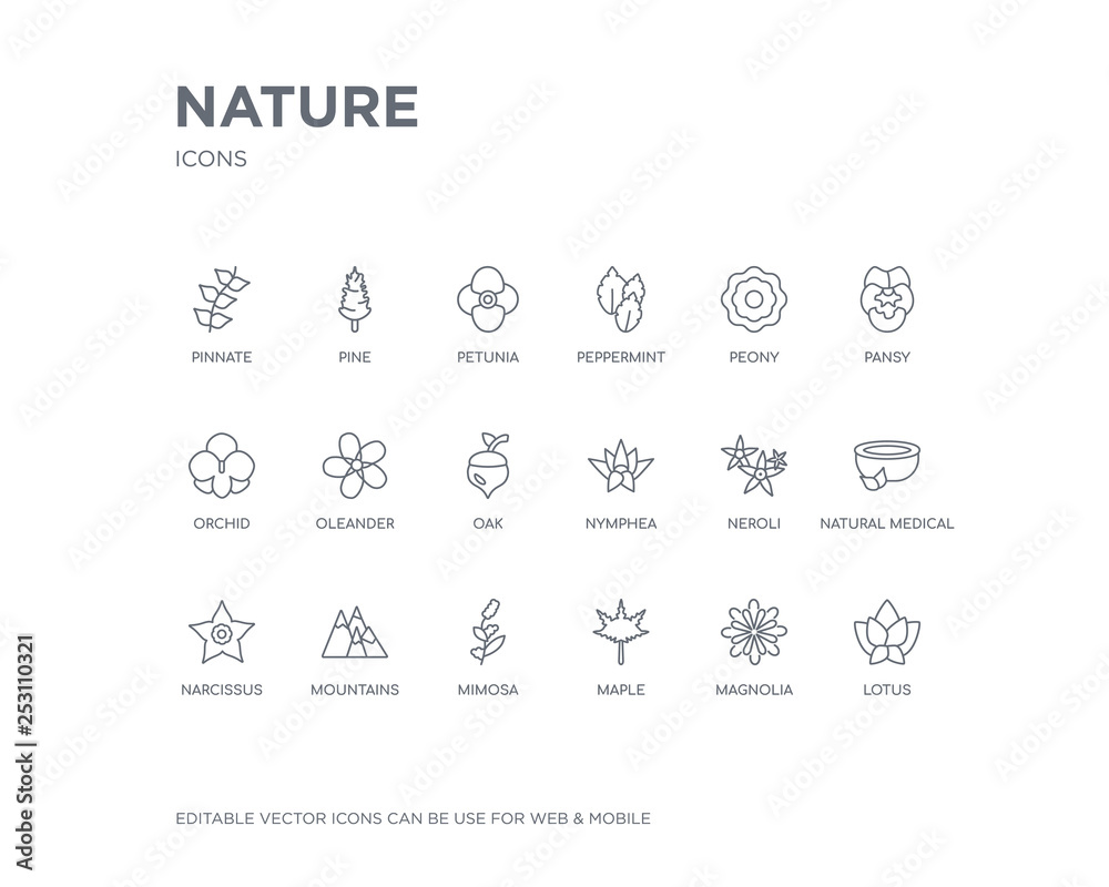 simple set of nature vector line icons. contains such icons as lotus, magnolia, maple, mimosa, mountains, narcissus, natural medical pills, neroli, nymphea and more. editable pixel perfect.