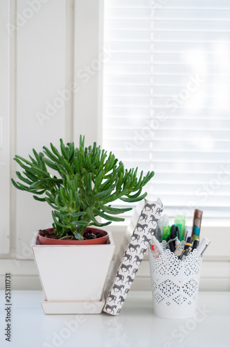 A money tree next to a paper notebook and pencils on a white table at a calm, relaxed and clean home office desk in Finland
