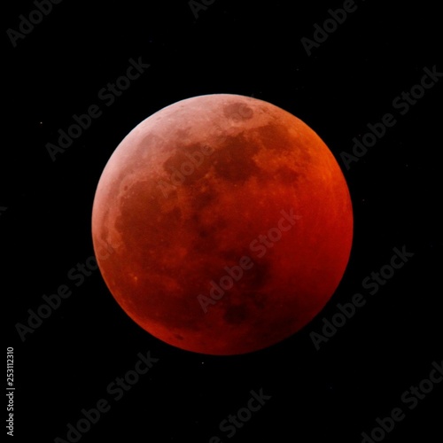 Fototapeta Naklejka Na Ścianę i Meble -  red blood moon