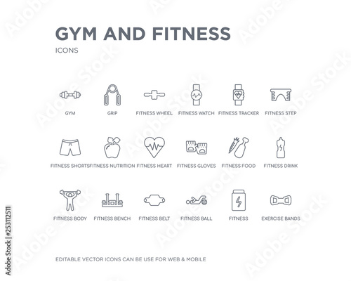 simple set of gym and fitness vector line icons. contains such icons as exercise bands, fitness, fitness ball, belt, bench, body, drink, food, gloves and more. editable pixel perfect.