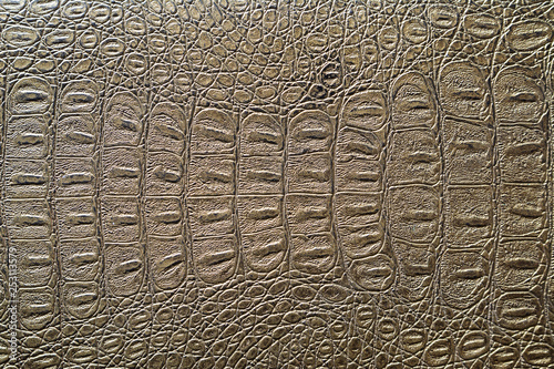 crocodile skin