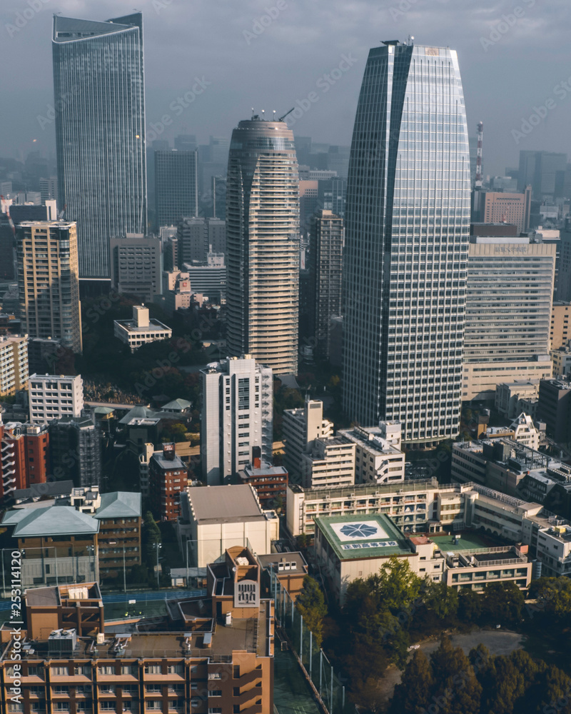 Obraz premium City Building