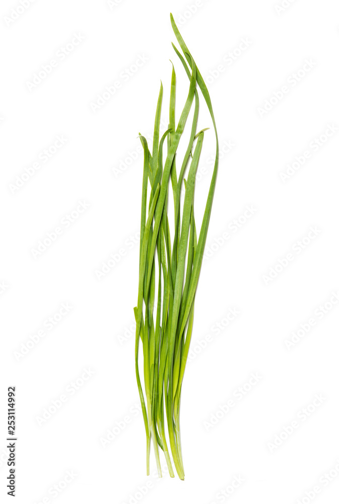 Chinese chives isolated on white background Chinese chives isolated on white background