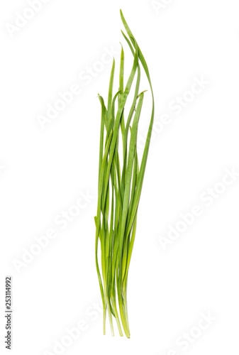 Chinese chives isolated on white background