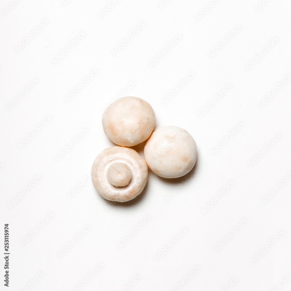 fresh mushrooms isolated on white background fresh mushrooms isolated on white background