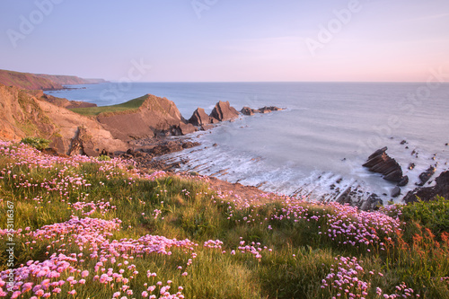 Summer at Hartland point Devon Uk