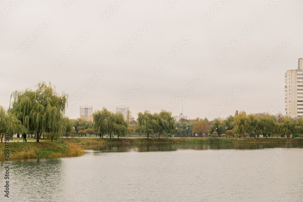 Grassy shore of the lake with residential buildings in the distance, on a cloudy day, autumn weather.