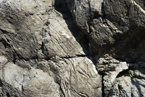 Italy,Cinque Terre,Riomaggiore, a close up of a rock