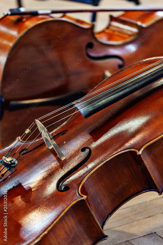 Fototapeta premium violin on black background