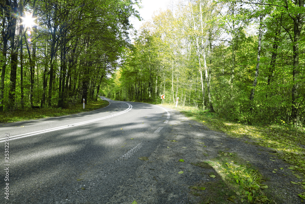 Spring road and free space for your decoration. Spring road and free space for your decoration.