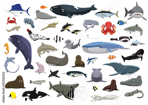 Various Cute Sea Animals Cartoon Vector Illustration