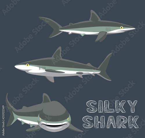 Silky Shark Cartoon Vector Illustration