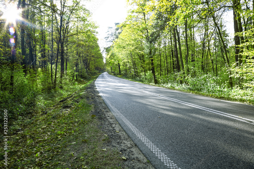Spring road and free space for your decoration. Spring road and free space for your decoration.