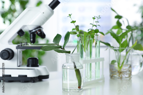 Laboratory glassware with plants and microscope on table. Biological chemistry