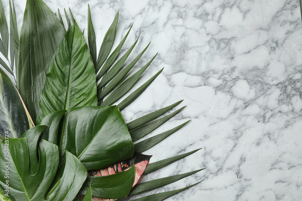Fototapeta premium Flat lay composition with tropical leaves and space for text on marble background