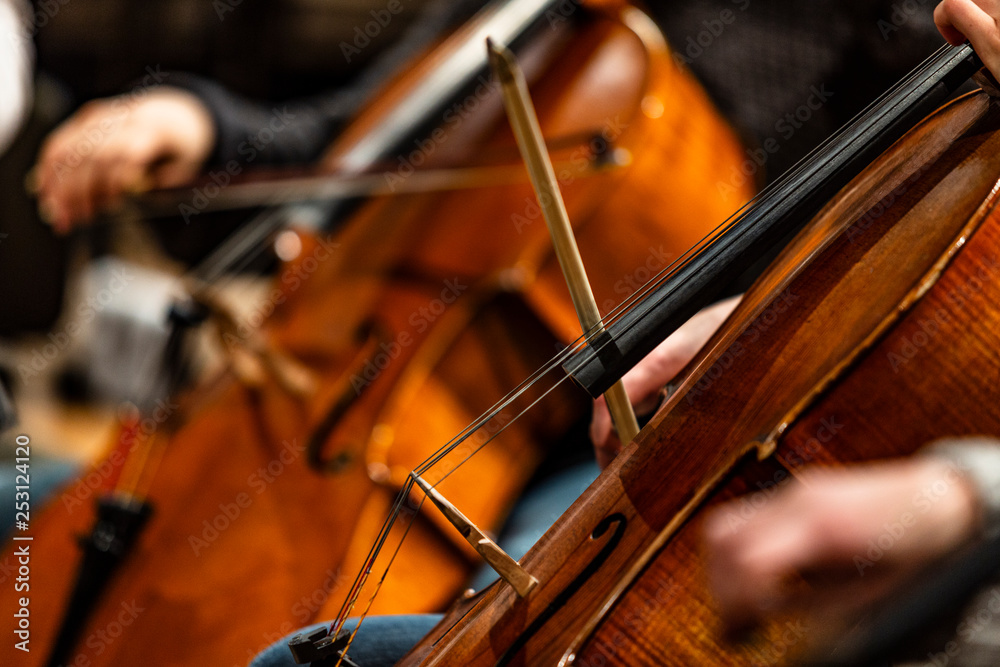 Orchestra Cello Players Background Orchestra Cello Players Background