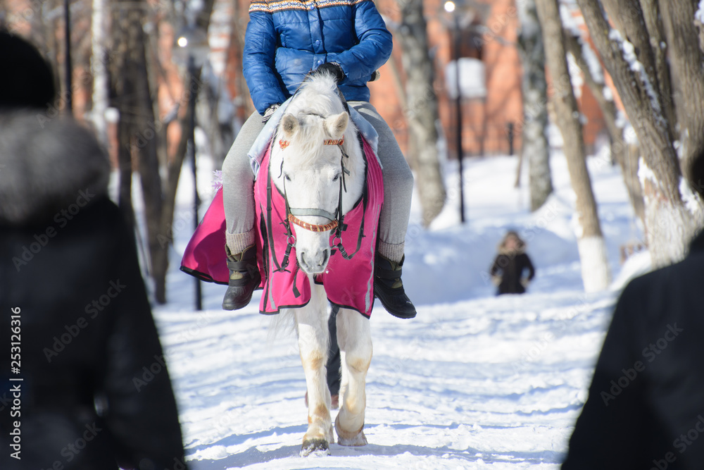 girl riding a horse on the road in the winter park