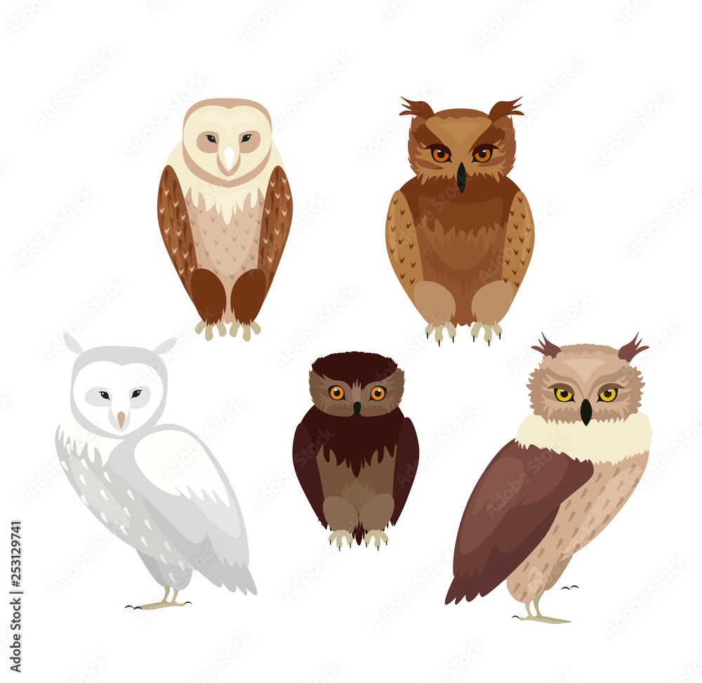 Vector illustration of realistic owls set. Collection of owls in realistic style, vector collection isolated on white background. Vector illustration of realistic owls set. Collection of owls in realistic style, vector collection isolated on white background.