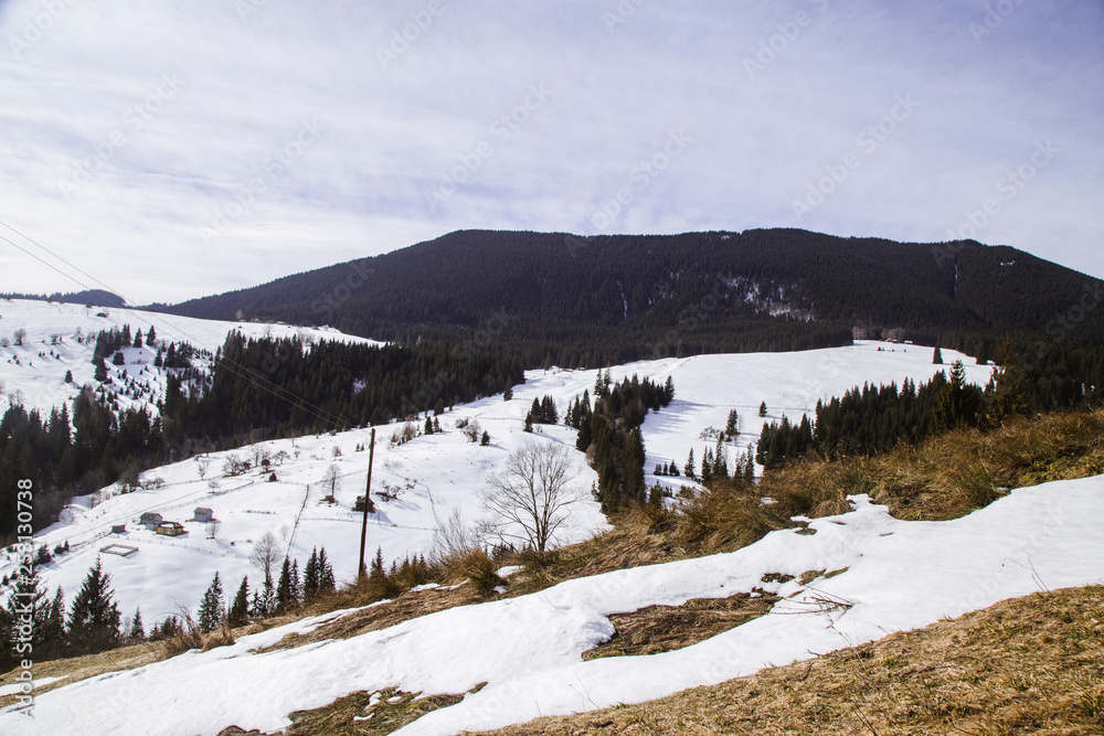 Winter landscape in the Carpathian mountains  with gutsul culture.