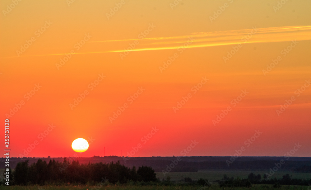 Sunset in the field, red sun