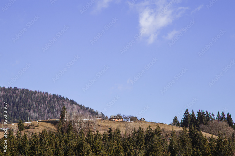 Winter landscape in the Carpathian mountains  with gutsul culture.