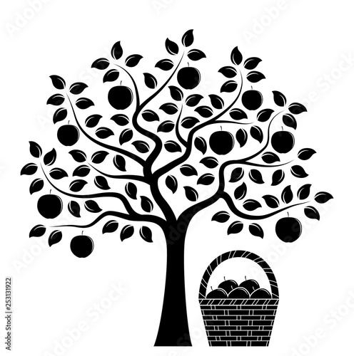 apple harvest