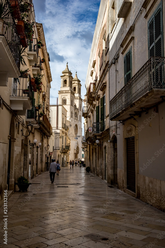 ALTAMURA, ITALY - AUGUST 26, 2018: People passing by Santa Maria Assunta Cathedral in the historical center of Altamura in Puglia region. Moody cloudy summer afternoon, narrow vertical street view