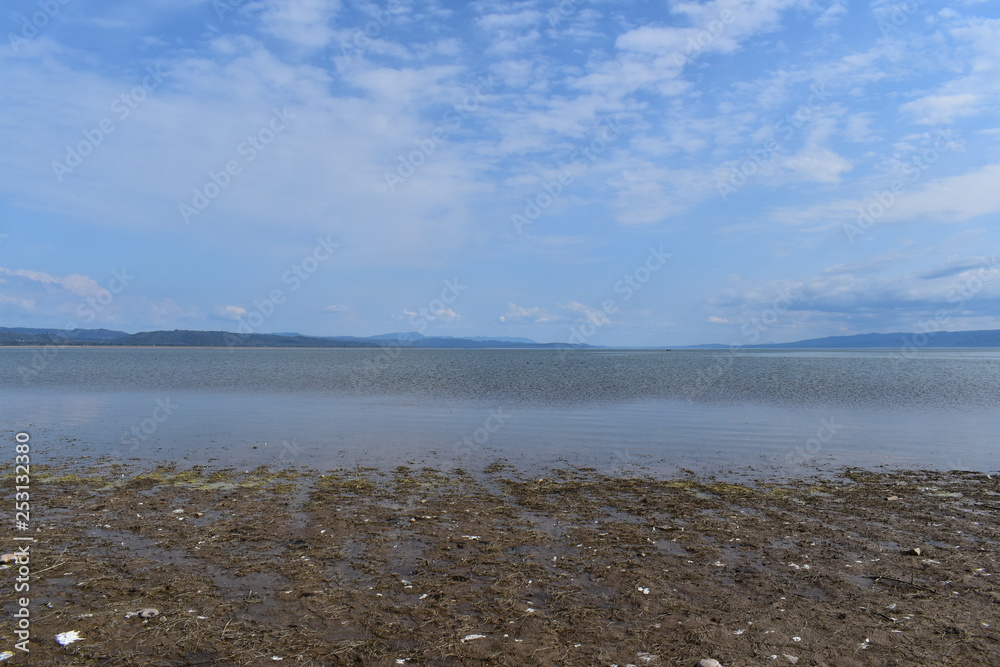 Pong Dam Lake Wildlife Sanctuary , Himachal Pradesh Pong Dam Lake Wildlife Sanctuary , Himachal Pradesh