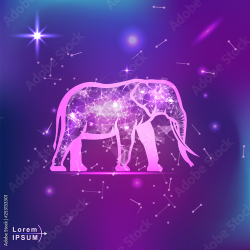 elephant. Polygonal wireframe elephant silhouette on gradient background. Space, futuristic, zodiac concept. Shine neon style vector illustration