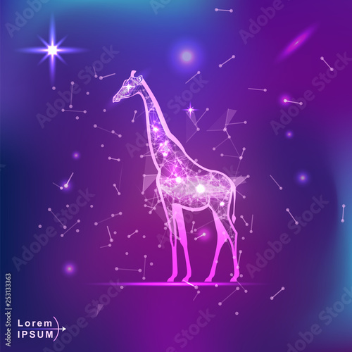 giraffe. Polygonal wireframe giraffe silhouette on gradient background. Space, futuristic, zodiac concept. Shine neon style vector illustration