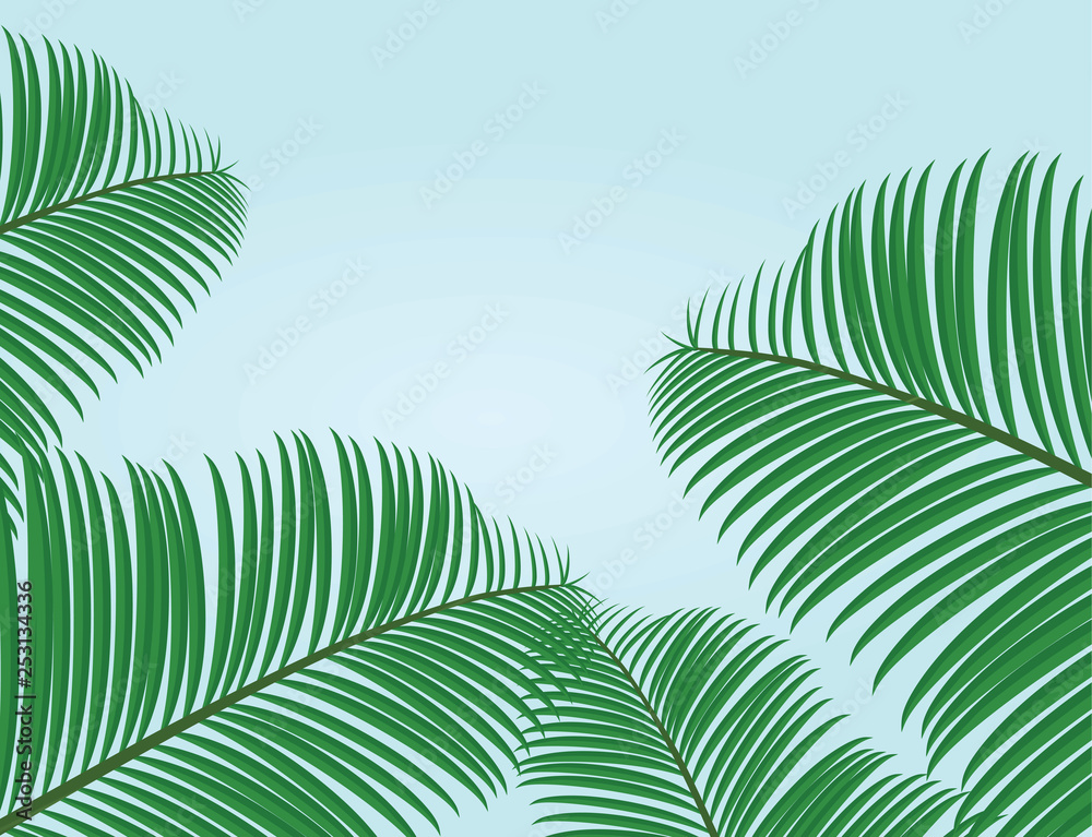 Palm leafs background. vector illustration