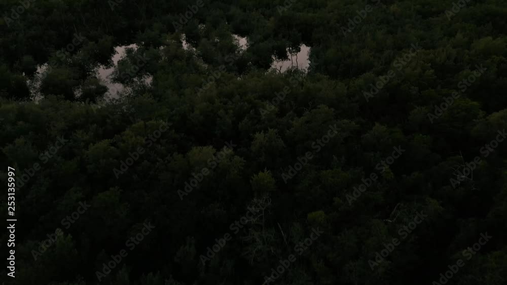 Aerial shot of the jungle forest near Cancun at sunset. Aerial shot of the jungle forest near Cancun at sunset.