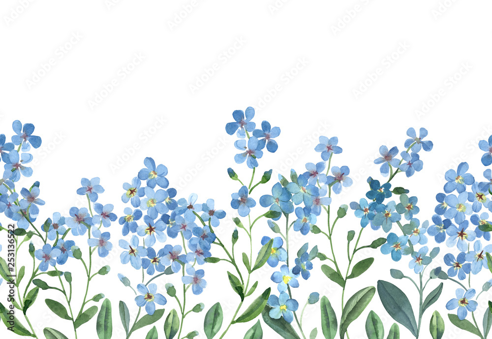 watercolor seamless border of blue forget-me-not with green leaves on white background - obrazy, fototapety, plakaty 