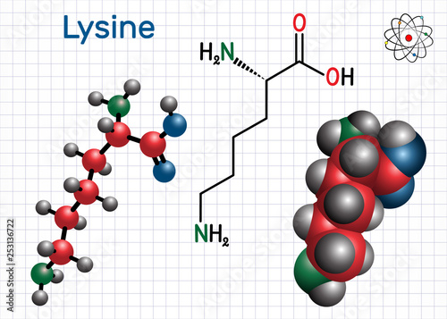 Lysine (L- lysine , Lys, K) amino acid molecule. It is used in the biosynthesis of proteins. Sheet of paper in a cage. Structural chemical formula and molecule model
