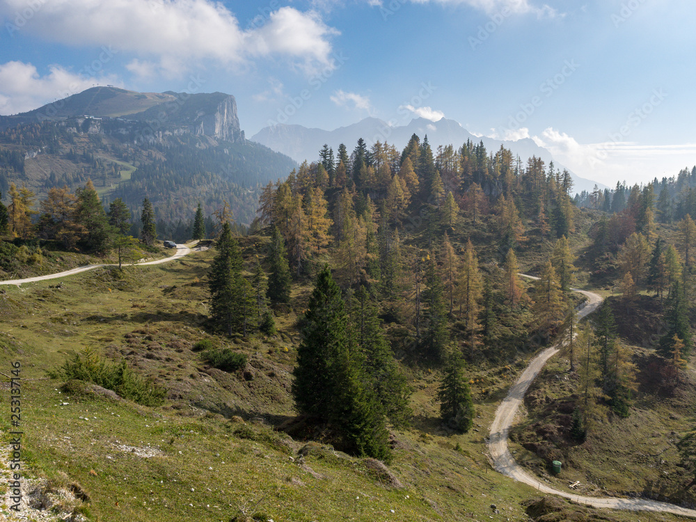 Blick über Nadelwald mit Forstwegen zur Steinplatte, Österreich